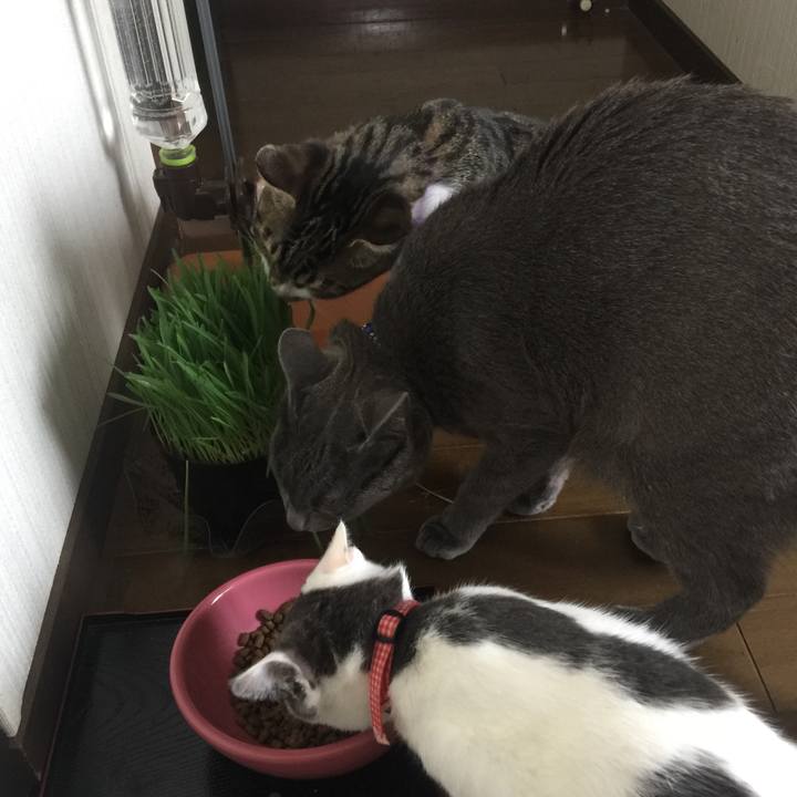 6e988bac 27ac 4b89 ae9d 9121903e761c