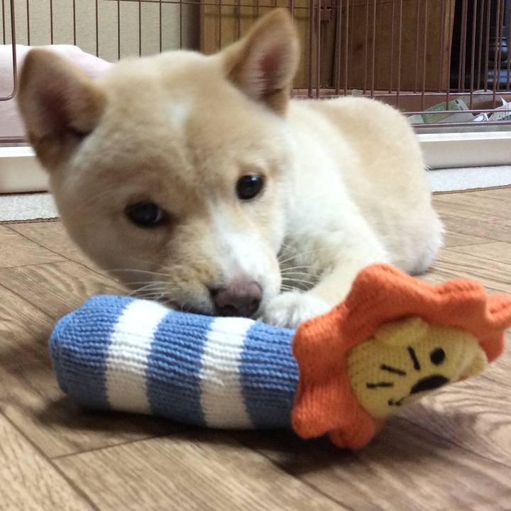 6e990b86 fc9a 45fc 8adb 177b199205bd