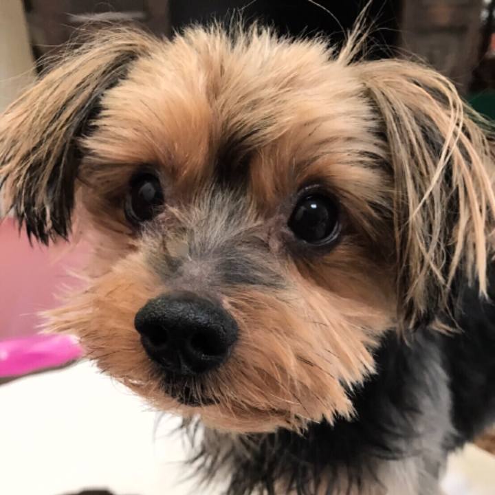 6e99c570 1b30 403e 9c4a 82919ce352ff