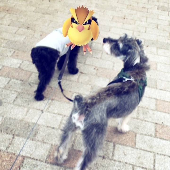 6e99c928 79e2 42af ad57 e54178bf042a