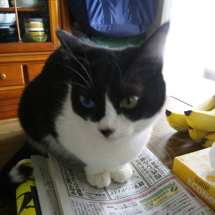 6e99ccaa e22a 4fdf b0ff 79e04819efd5