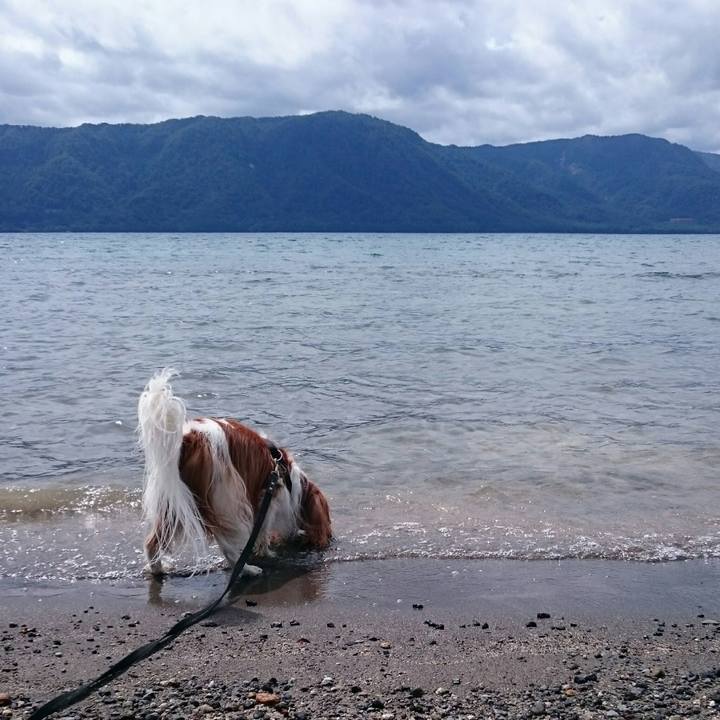 6e9a304c 6968 48ac 93f0 3aebe7396af0