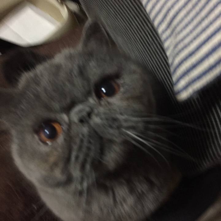 6e9a4fea 5bb6 4ead 9bc0 6c75d3725781