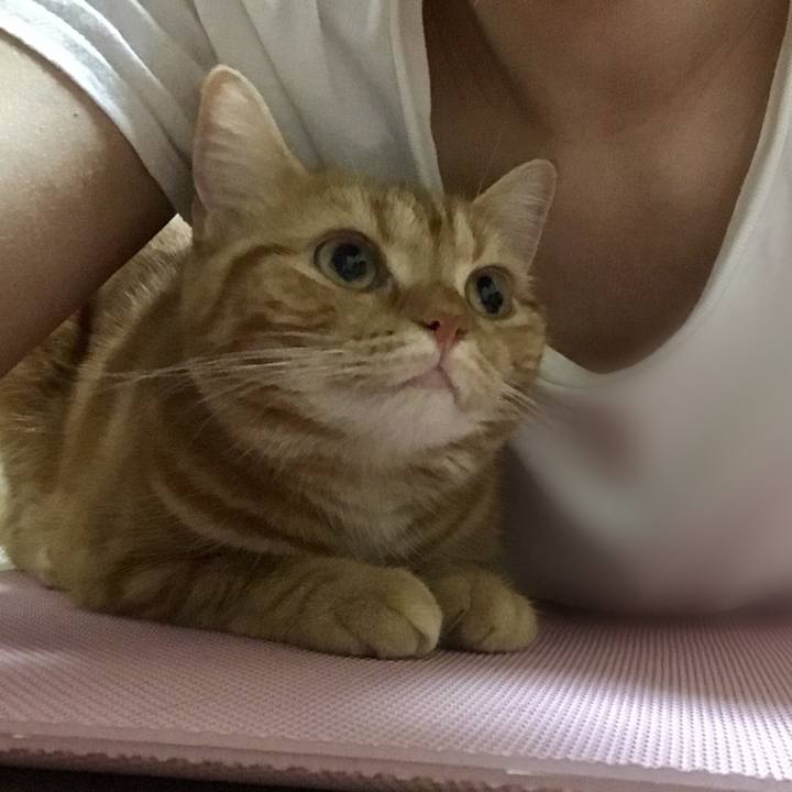 6e9c5f00 9473 4719 8792 04e6e32e5b8f