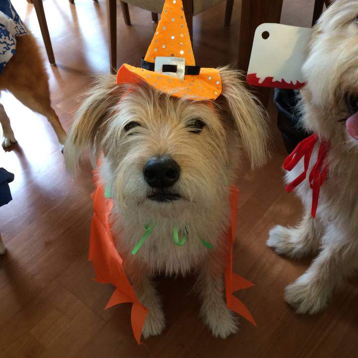 6e9c82f0 03b2 41a6 9c93 59397f87aebc