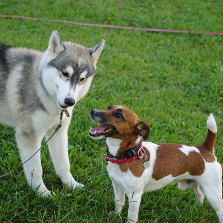 6e9cffba 710d 4dff b94d 4cf33297f948