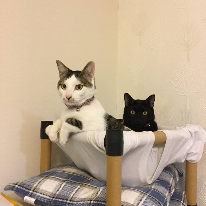 6e9d000a eb07 4b9c 84cd b2f65cc32c4b