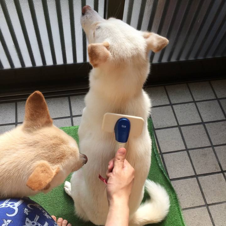 6e9dc71c aa0c 41a3 9cb6 bcab40bec1c2