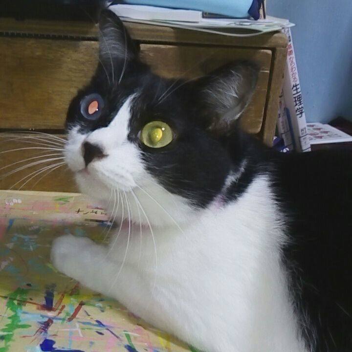 6e9de8bb 77dd 4534 af8d 11c5631e8126