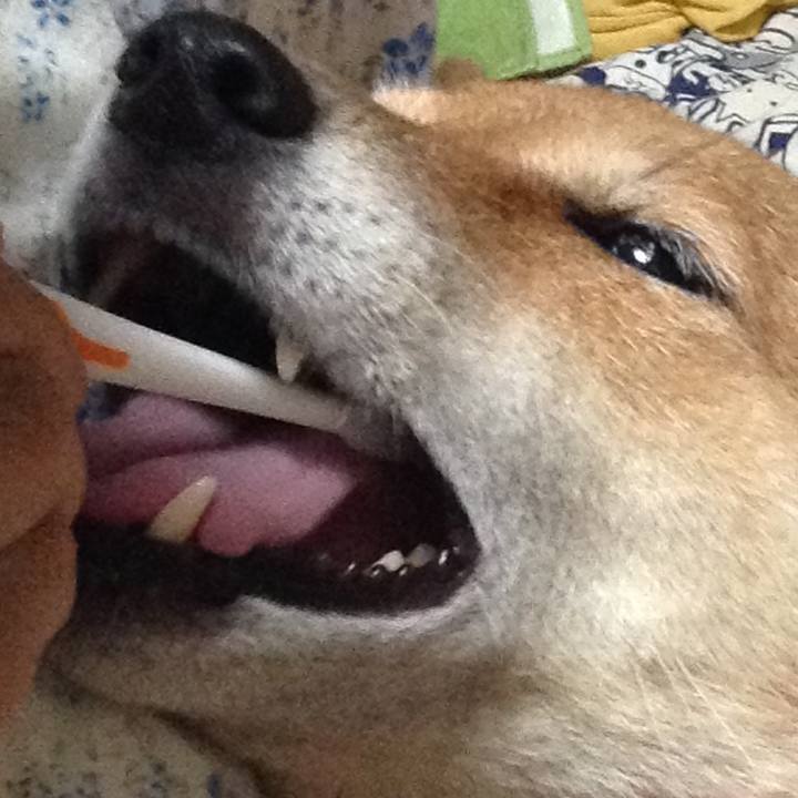 6e9e4ba1 4339 4c01 85c2 9aac6f1db6d5