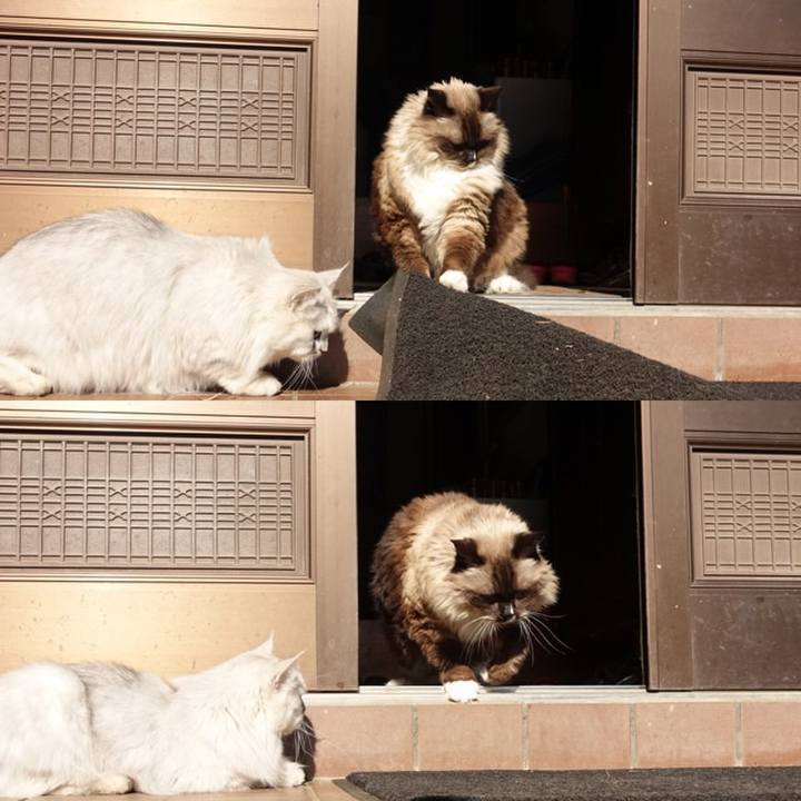 6e9e5c83 7686 4acf bbe8 6bda10c63eb0