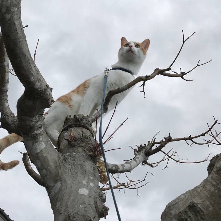 6e9fa419 c120 437c 8252 6e614fb036f6