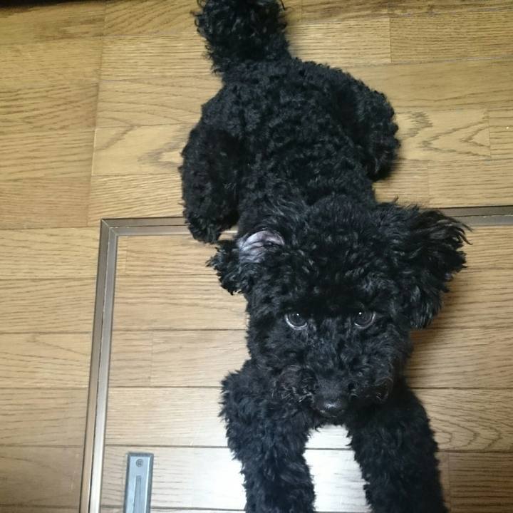 6e9feb52 9671 437e 94d9 8c51c4b7506b