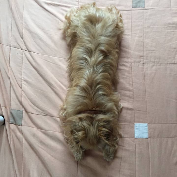 6ea08e6c d650 404c 8eb9 dc656e584ee4