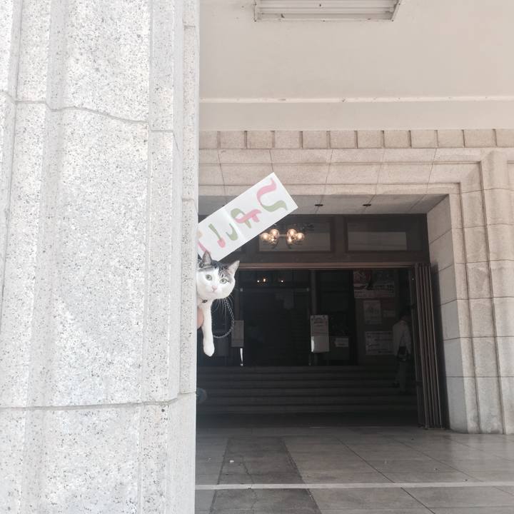 6ea09753 a775 425e a770 26ca5aa1df29