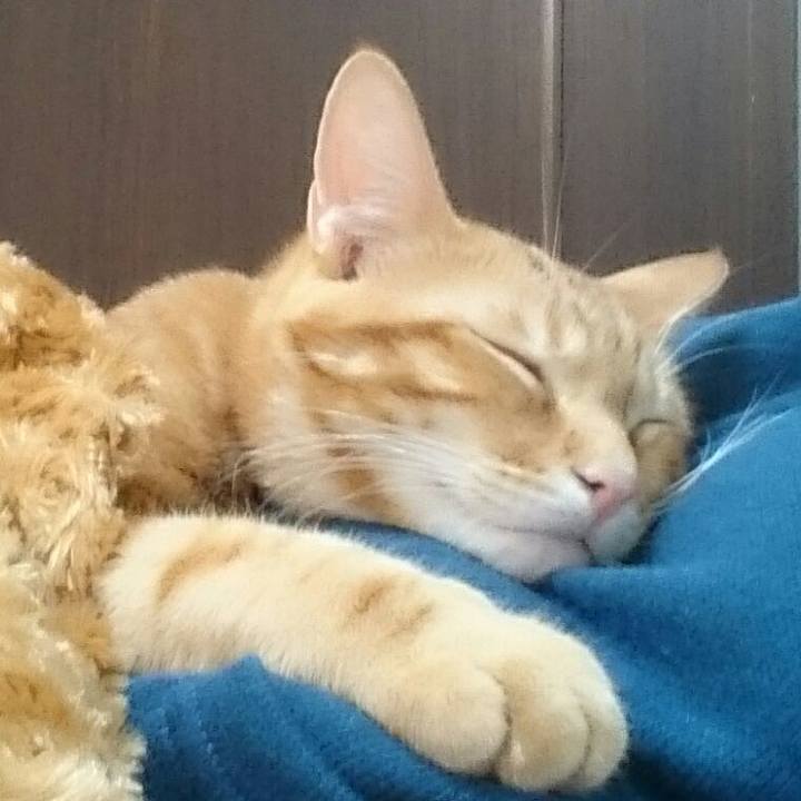 6ea0a7e3 5178 4fea 9140 7f3c83aa8dbb