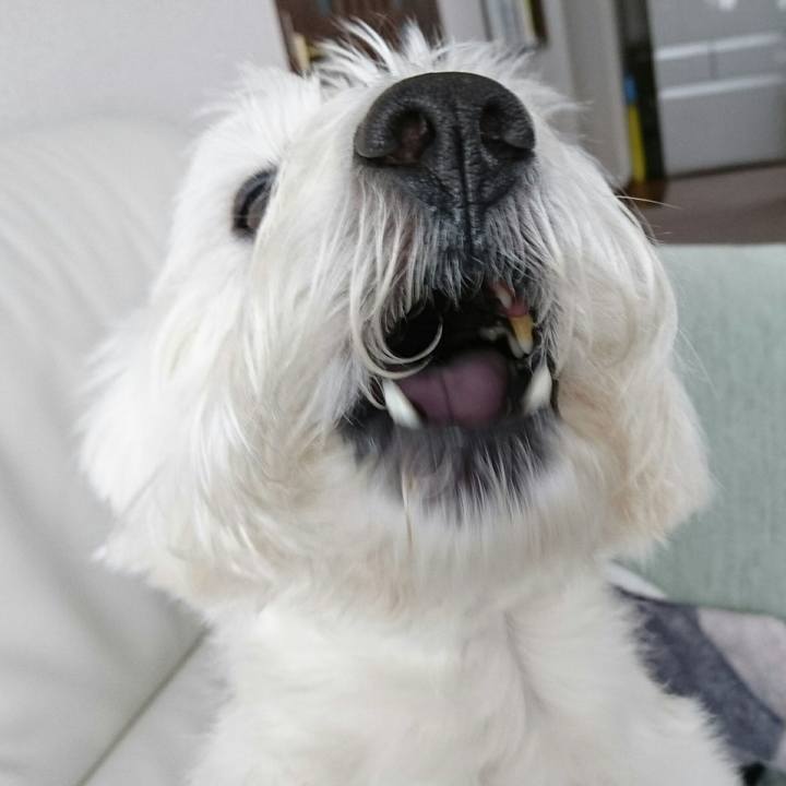 6ea137ff 00e7 4305 9e69 947ebc88caf6