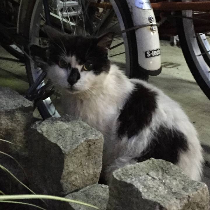 6ea15ae3 eada 4617 8655 da786c99df34