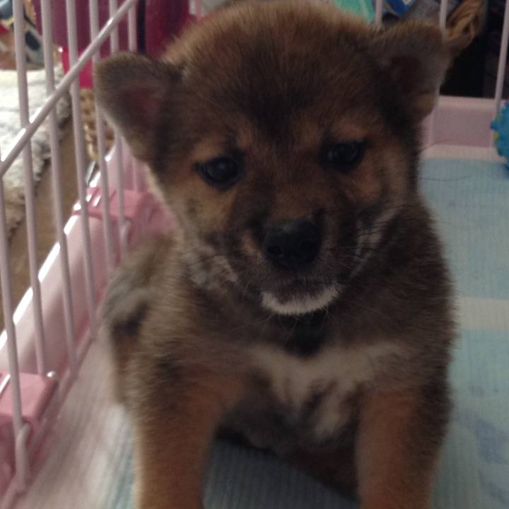 6ea18eec a178 4ecc 8715 13b83aedcd1f