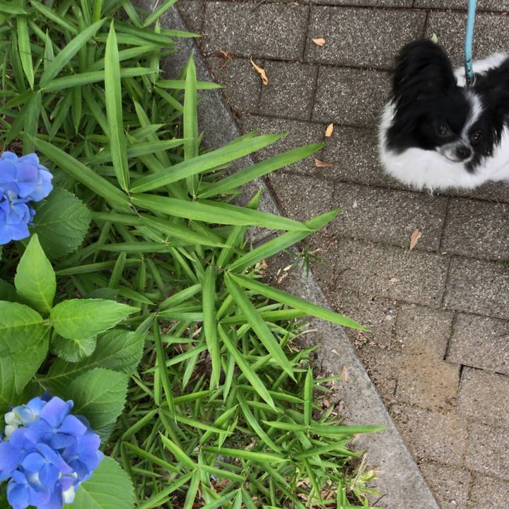 6ea1c2fc 7e33 4e9c bc73 4b0c60751df8