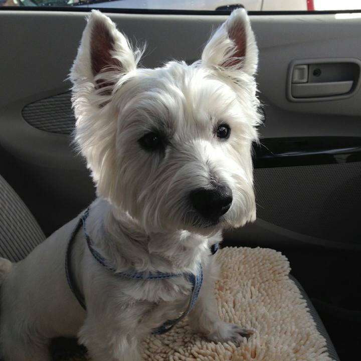 6ea2667f aa5c 4109 ab1c c5b17251add1