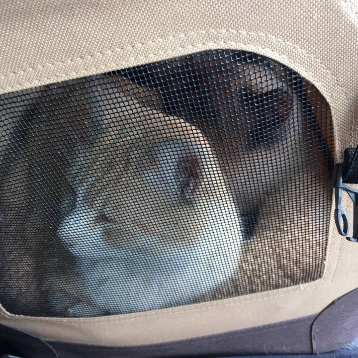 6ea28dd1 5881 4eb1 b701 a7892d4164dd