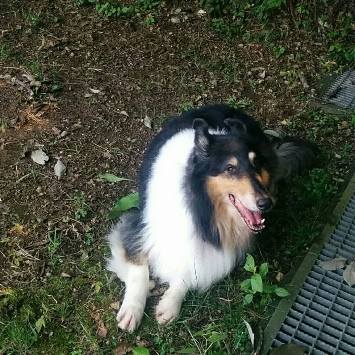 6ea4931f ac69 4b8d bc7f 5fe4446e3a67