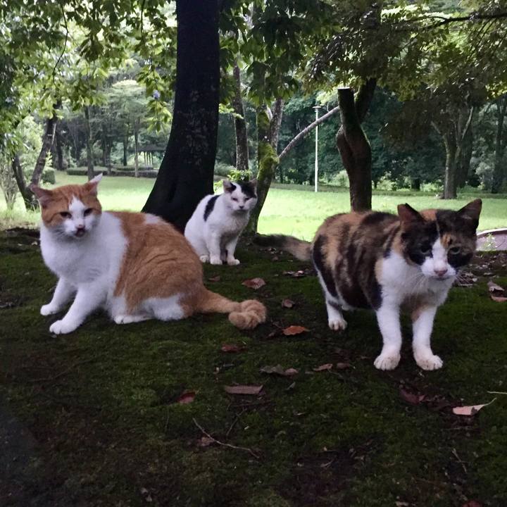 6ea57f07 21e7 4caf 8f2d feb217e8c929