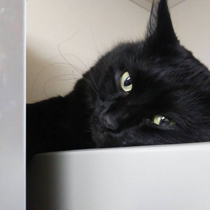 6ea68da1 fcbf 4046 8ff5 f93520174989