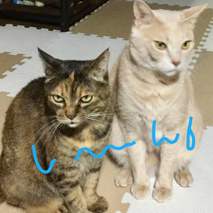 6ea72152 72bf 45d5 85c7 14e1a3b00c60