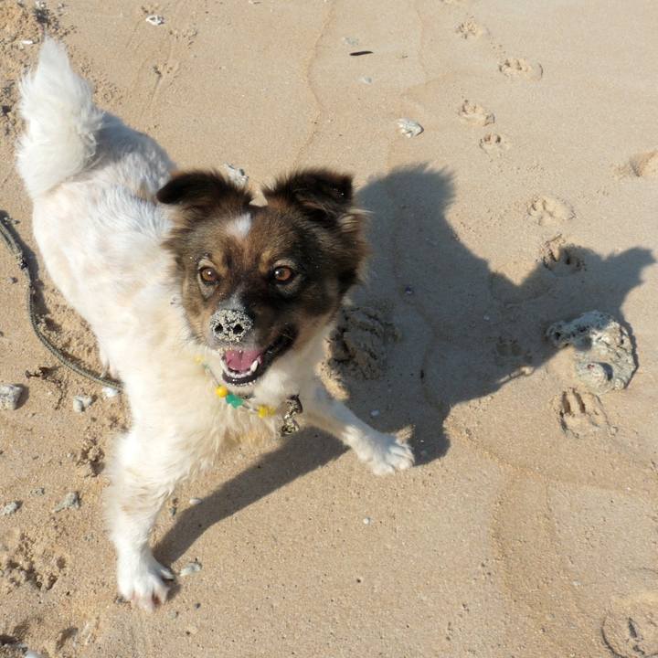 6ea73101 e017 4634 bec6 6c3ff4f130fb