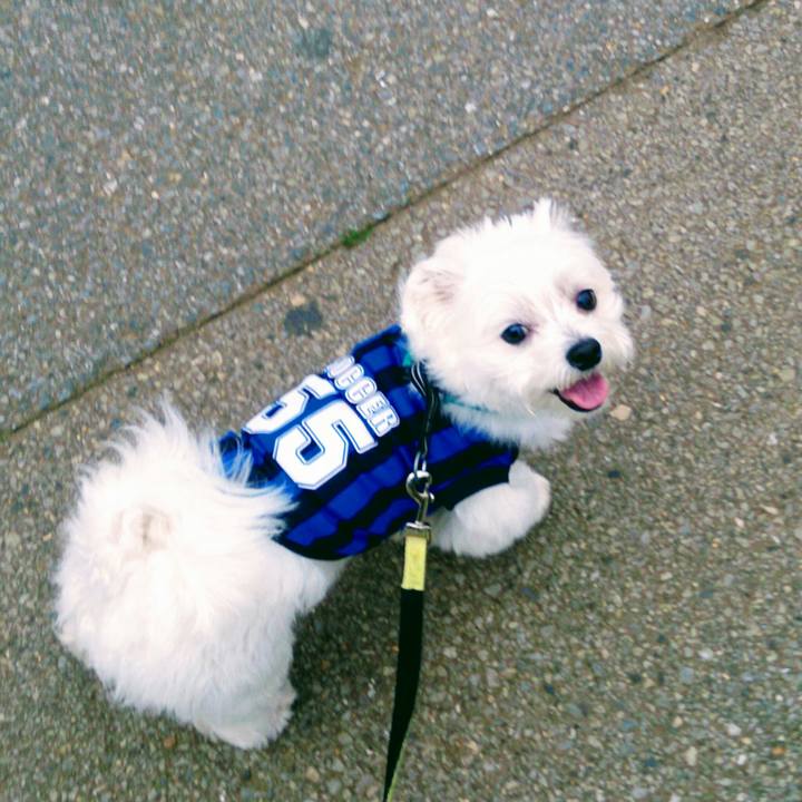 6ea75dd4 6513 4f76 82cf 6ae27b0e8f79