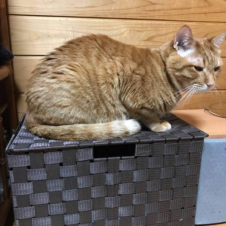 6ea85bab fd26 4a4c 8a09 ff9b01bdd104