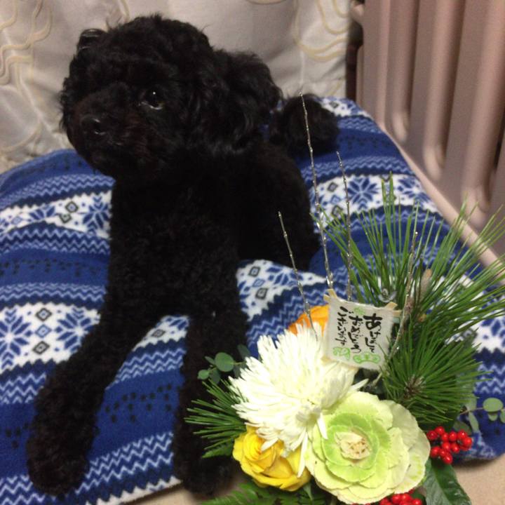 6ea8c6c7 444d 4a7f 9b32 f9276d225cb1