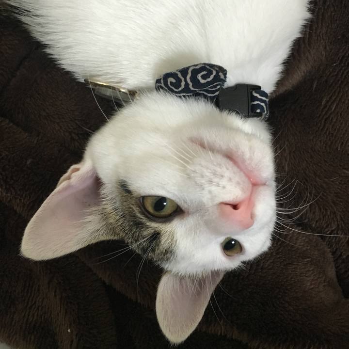 6ea90f68 fe17 4bbc a61f cbb4bf00d590