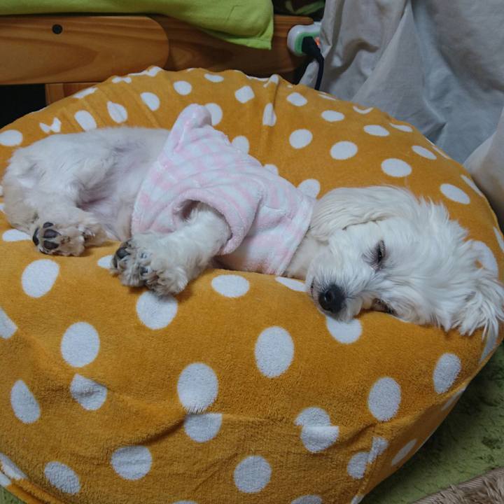 6ea91085 237e 4c37 874a c9027acd185a