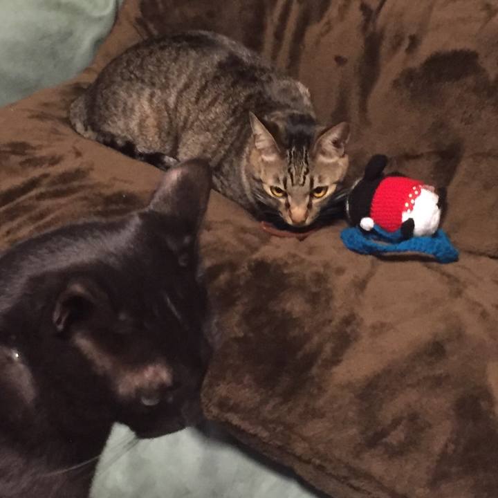 6ea96101 0d03 4e0b a0e0 e6deb28e54fb