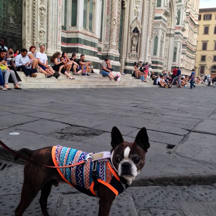 6ea966cb e974 41bf 8272 0e10b0ac4bbe