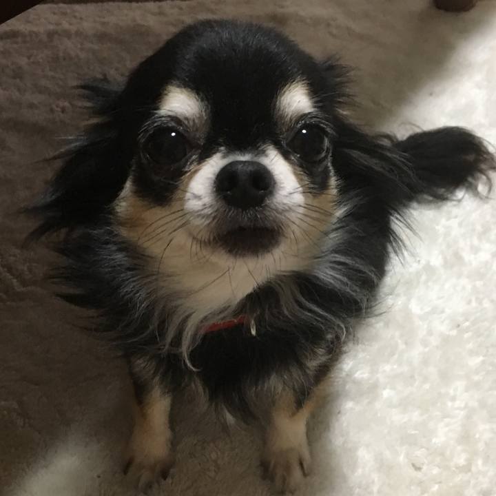 6ea9a9dd b2b8 4d36 be6c 39e4025641a0