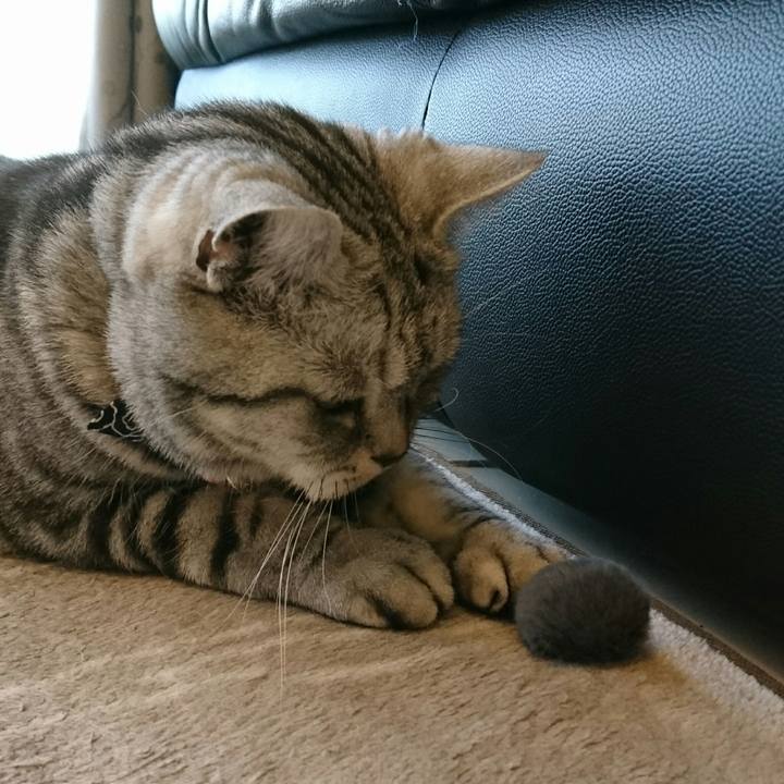 6ea9fe8f 892a 48b6 880c b4e0fe7844f3