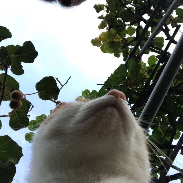 6eaa3a87 2f8d 4290 8524 3d3cdeb82a8c