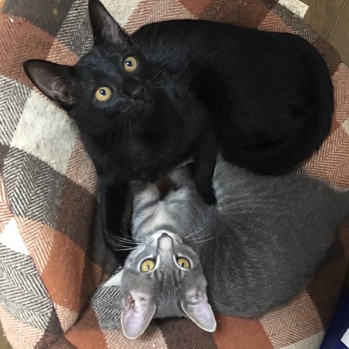 6eab083a a377 4949 a075 8e486ecbdb96