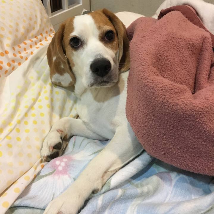 6eab0c21 f411 443d a05e 46454fba443d