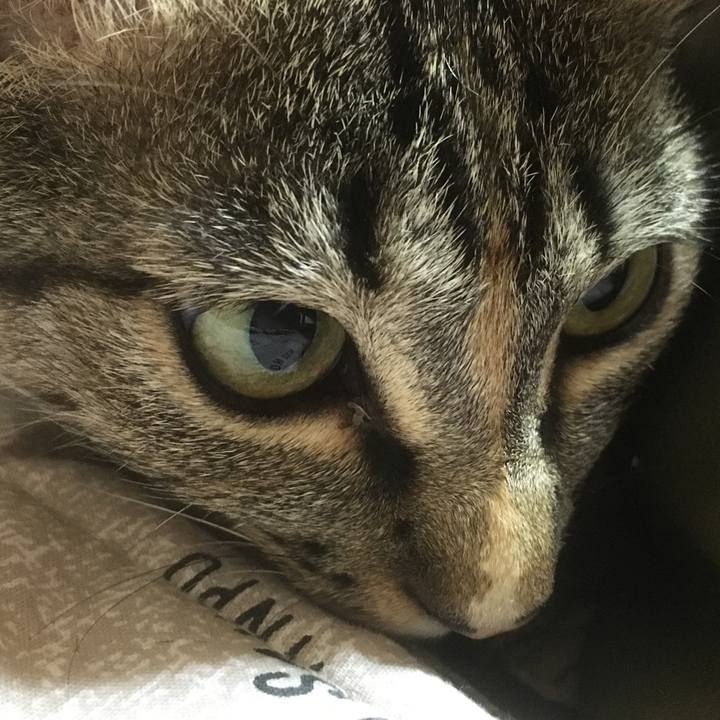 6eab7d22 0bac 42a8 b44a 6db0a6ed4a88