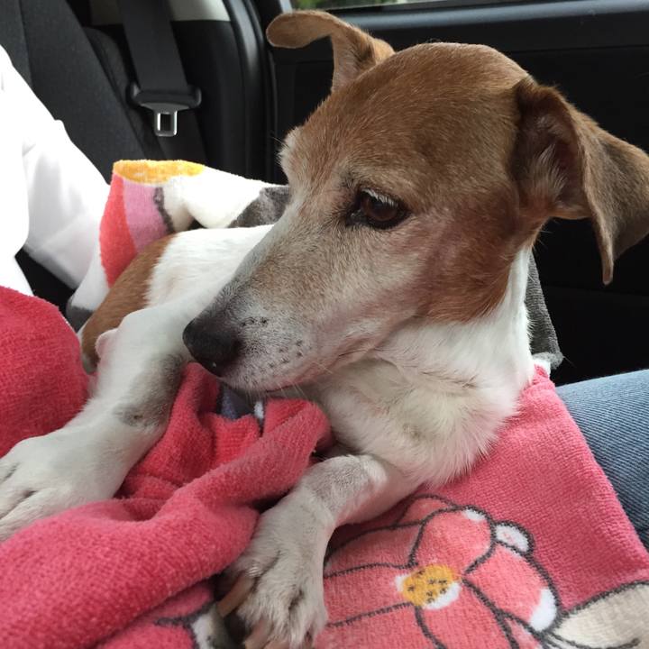 6eac2e88 b725 414e b841 42869419349e