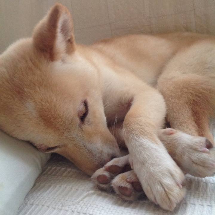 6eac925c e0a2 40b7 bfa3 5f109ddb89c0