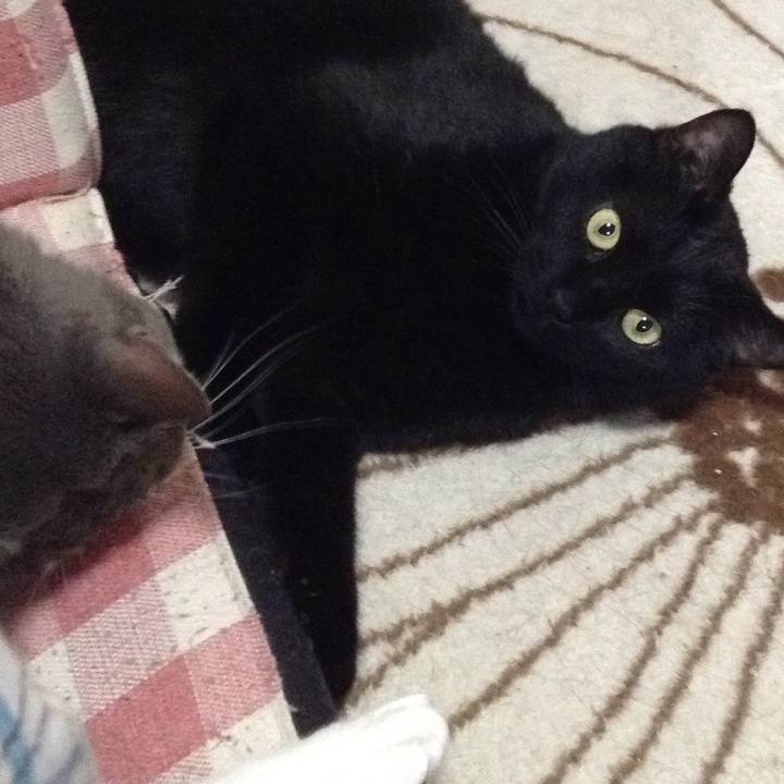 6eacd521 0f94 4b5f a01a 698f4e4b1bc6