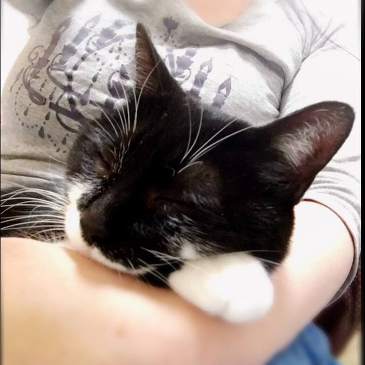 6ead1c47 ed7c 4de2 b9f4 8db314f6785f