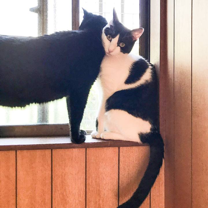 6ead290b 8aff 4ab6 82e2 459b6b8ee05d