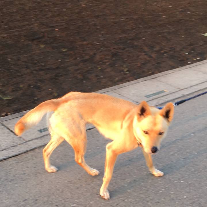 6eae8c6c a80f 4855 9228 4cd01ffdef02